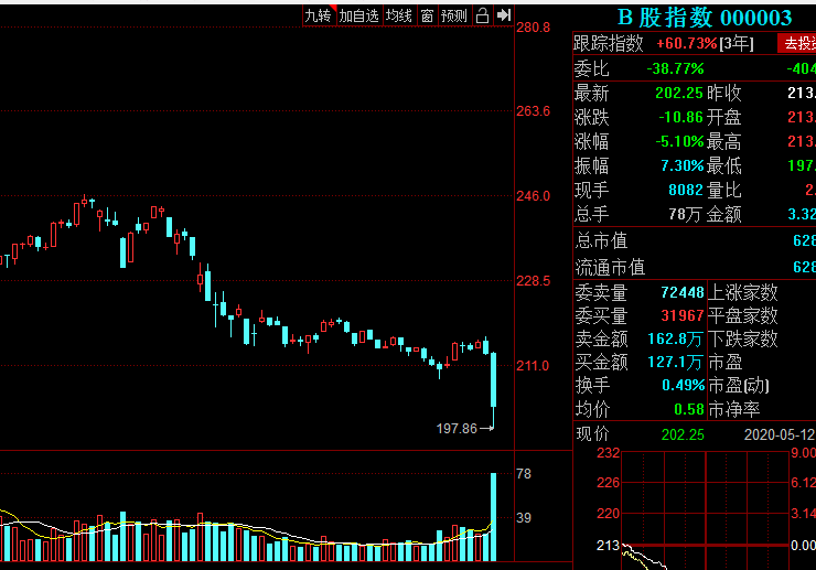 B股今日行情深度剖析